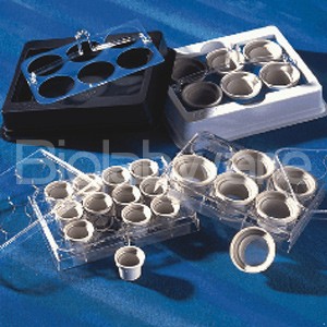 NETWELL,15MM,74um,PS,S,12PL/48 Netwell嵌套(细胞筛网) 15mm直径 PS(聚苯乙烯)嵌套 74um孔径PE(聚酯)膜 灭菌